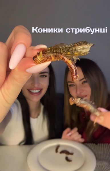 Смажені Коники Стрибунці 546-112 фото